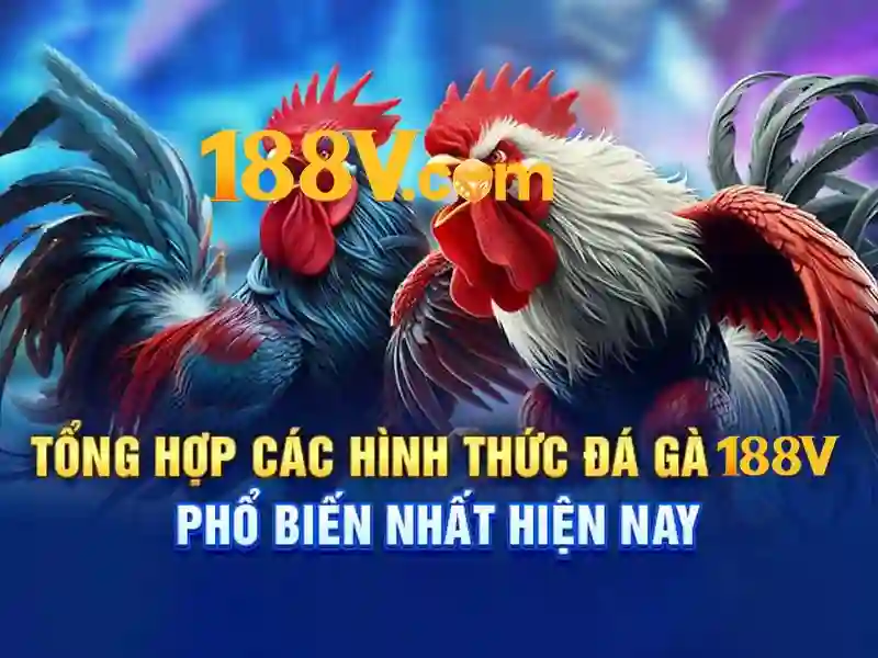 Ưu đãi đặc biệt cho phiên bản mới 188v