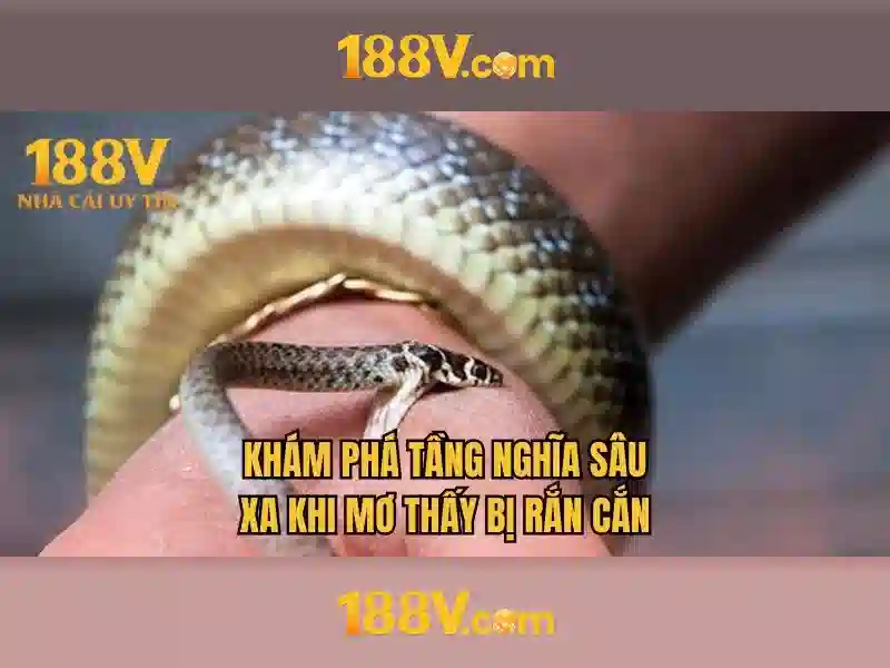 Ứng dụng 188v iOS