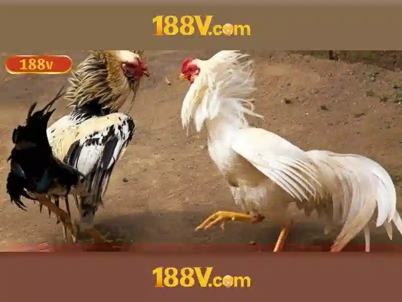 nạp tiền 188v