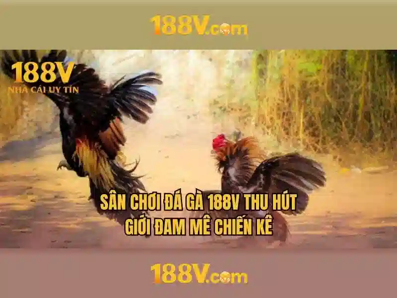 Game Bài 3D 188v