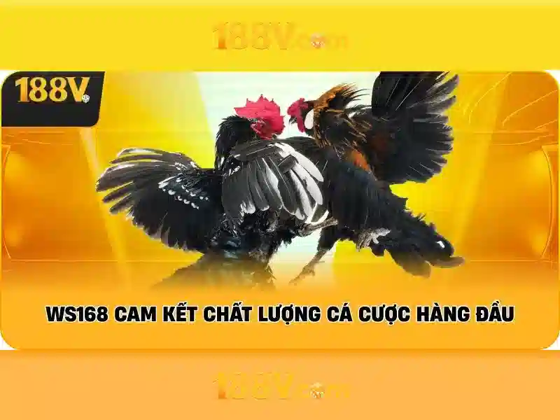 Quy trình rút tiền 188V