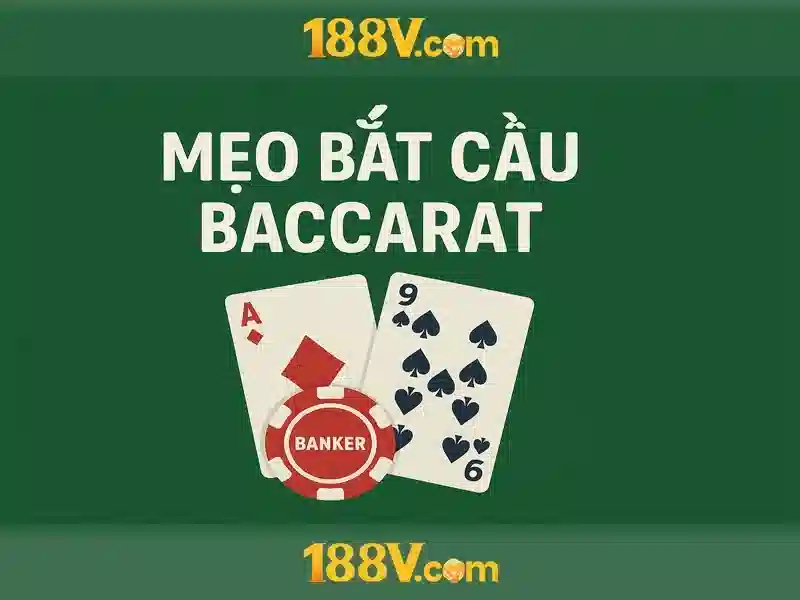 Quy Trình Đăng Ký 188V