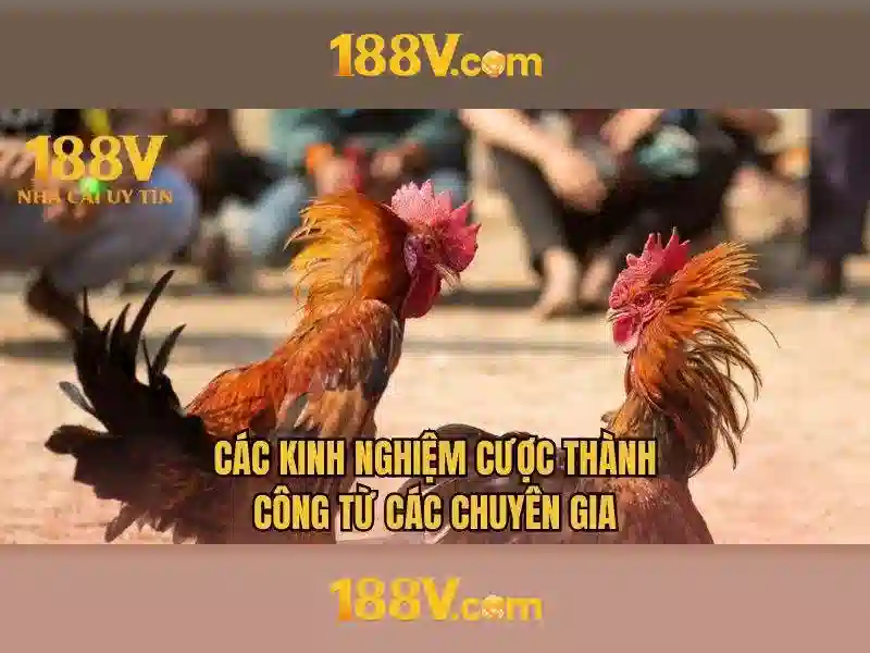 trải nghiệm slot