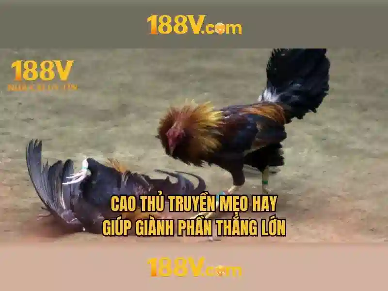 Đăng Ký 188V VIP