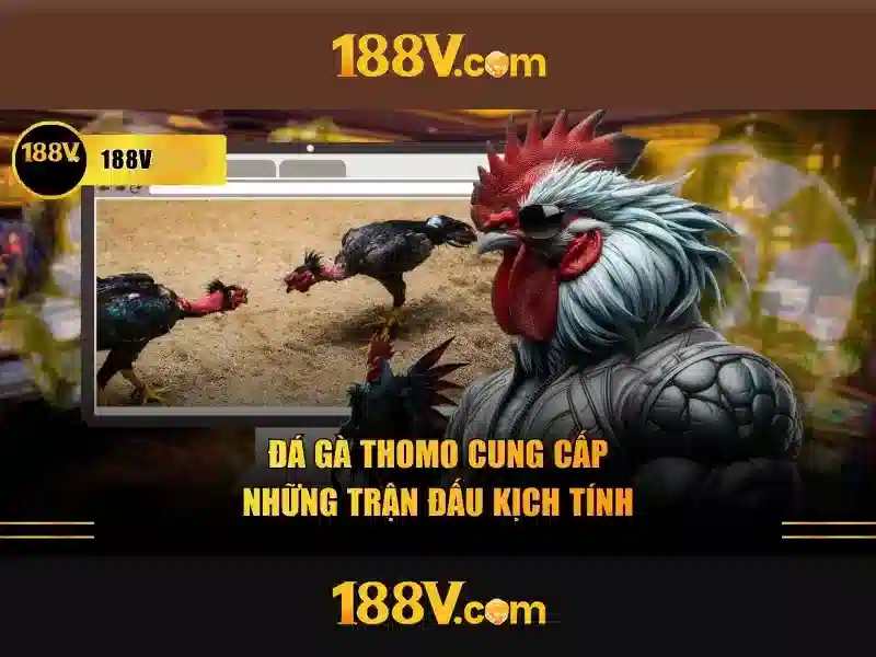 Cách Sử Dụng Tag