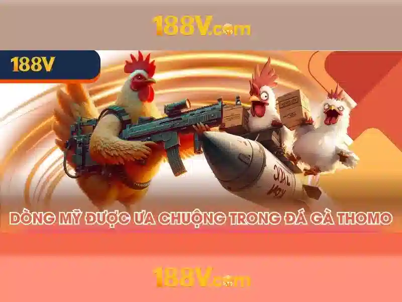Người Chơi Và Trách Nhiệm Của Họ