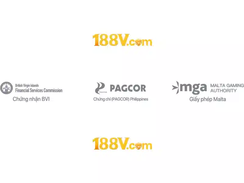 Giới Thiệu Về 188V