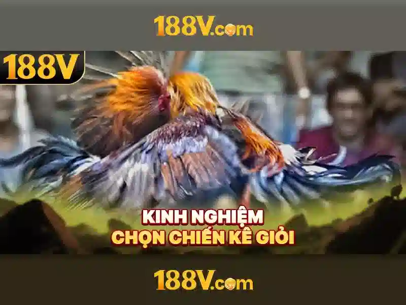 đánh giá 188v
