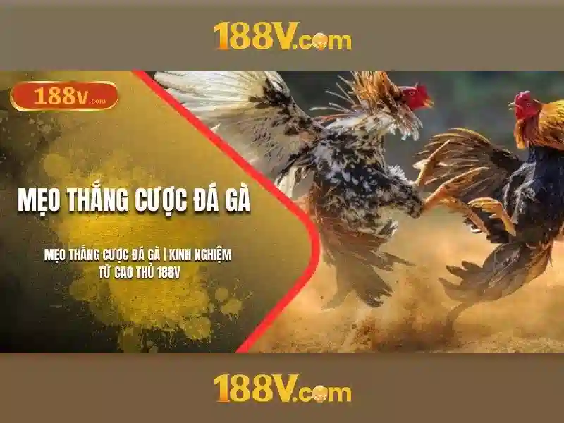 Trò chơi slot 188V