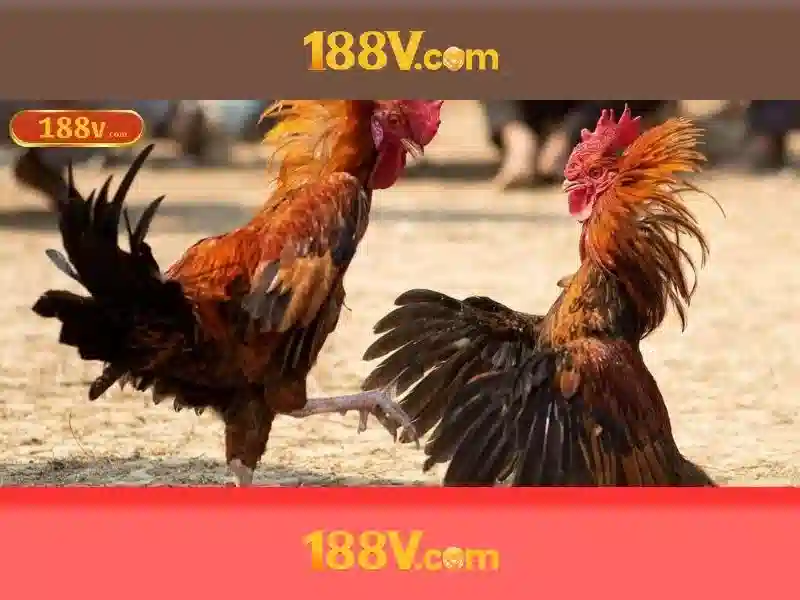 Ưu Điểm Nổi Bật Của Cá Cược Thể Thao 188v
