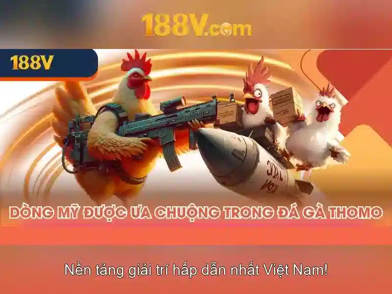 Chương trình khuyến mãi 188v