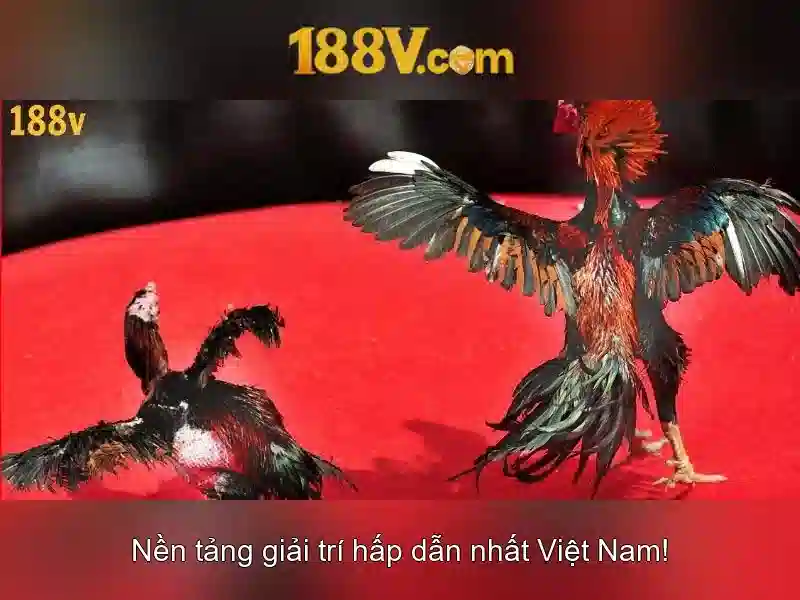 ưu đãi 188v