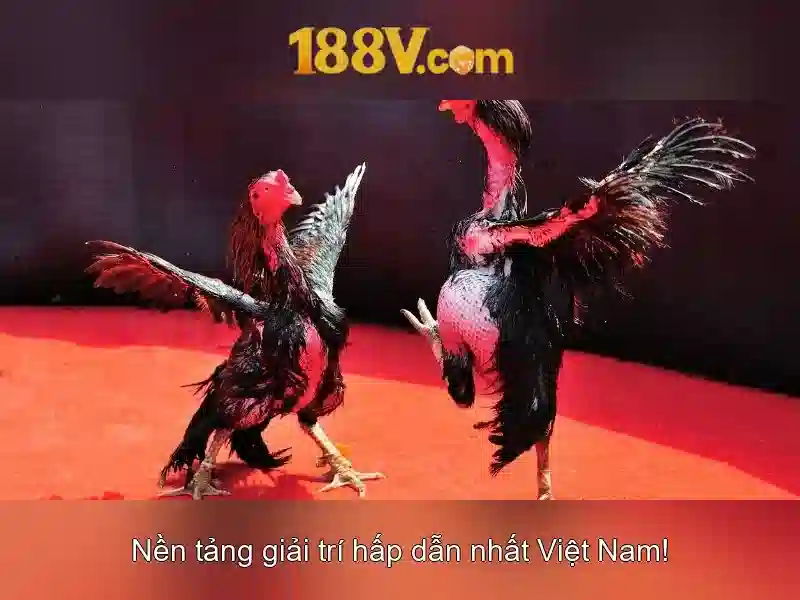 Ưu Điểm Của 188V Trong Cá Cược Slot