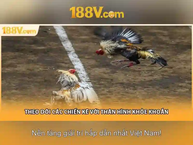 Cách Sử Dụng Code 188v Mới Nhất 2026 Hiệu Quả