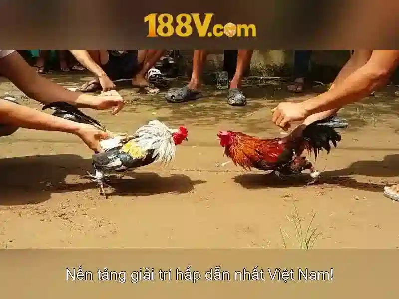 188v khuyến mãi