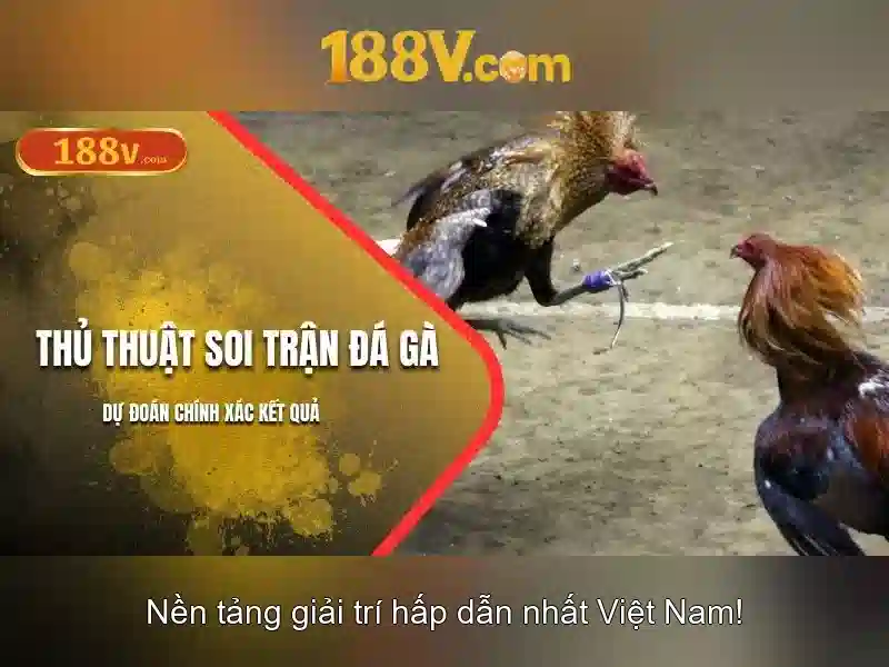 Tính Năng Đột Phá Của App 188V