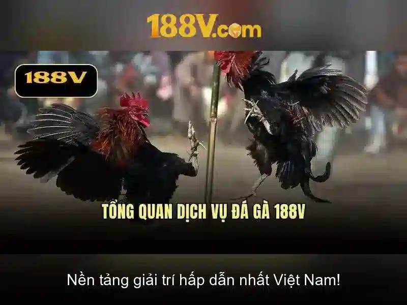 Bảo Mật Và An Toàn
