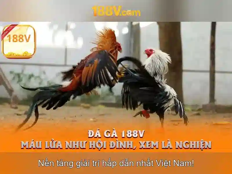đăng ký 188v