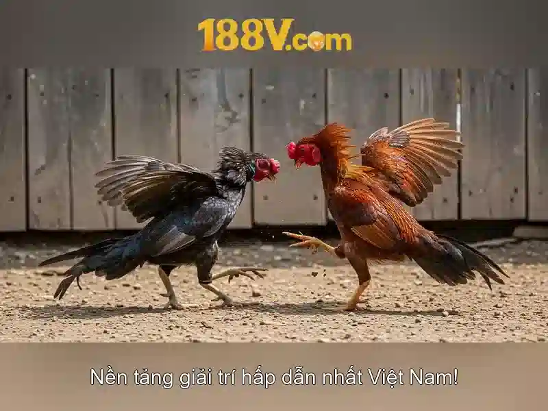 rút thưởng 188v