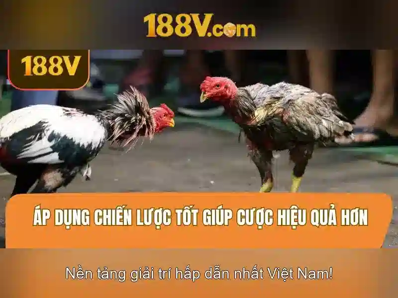 Ưu Điểm Cung Cấp 188V