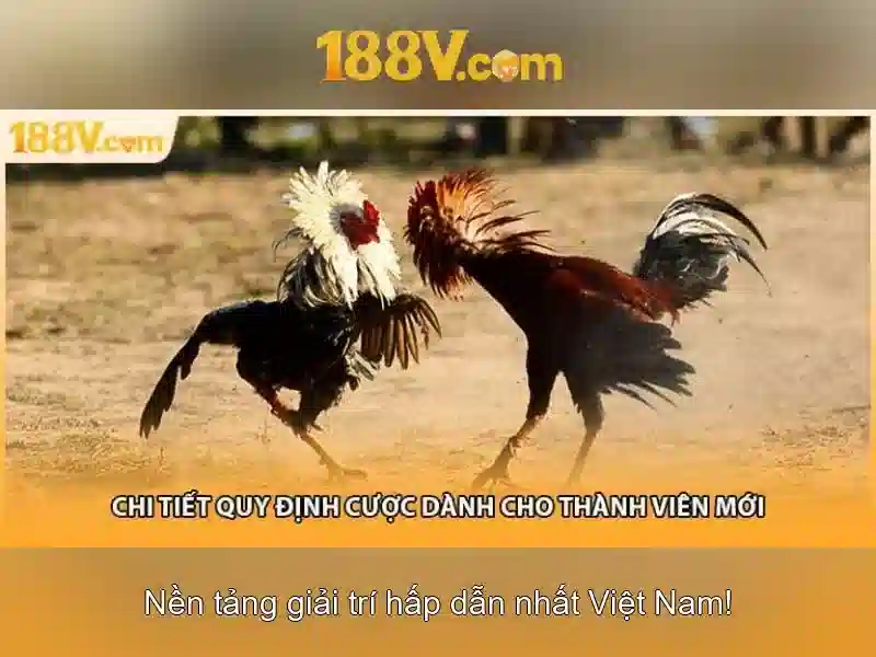 Ưu Đãi Đăng Ký 188v