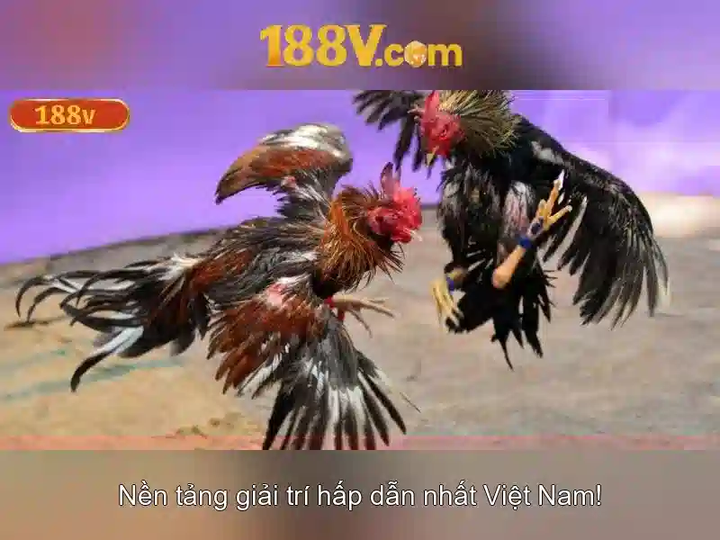 Khuyến Mãi Slot 188V Độc Quyền