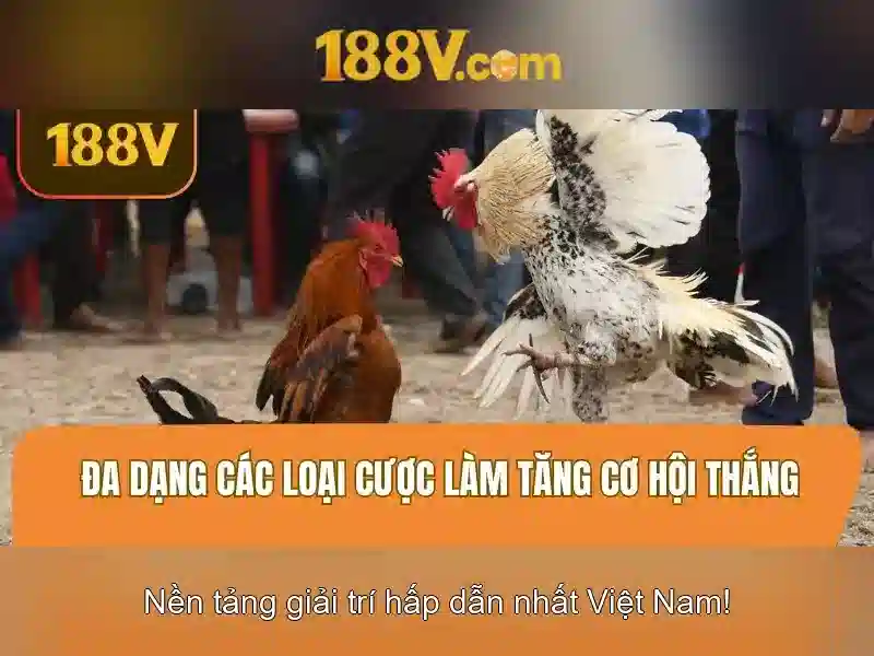 188V – Ưu Đãi Giftcode 188v Mới Nhất 2026