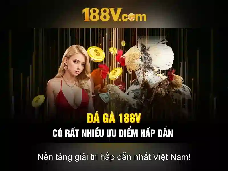 ưu đãi đăng ký tài khoản
