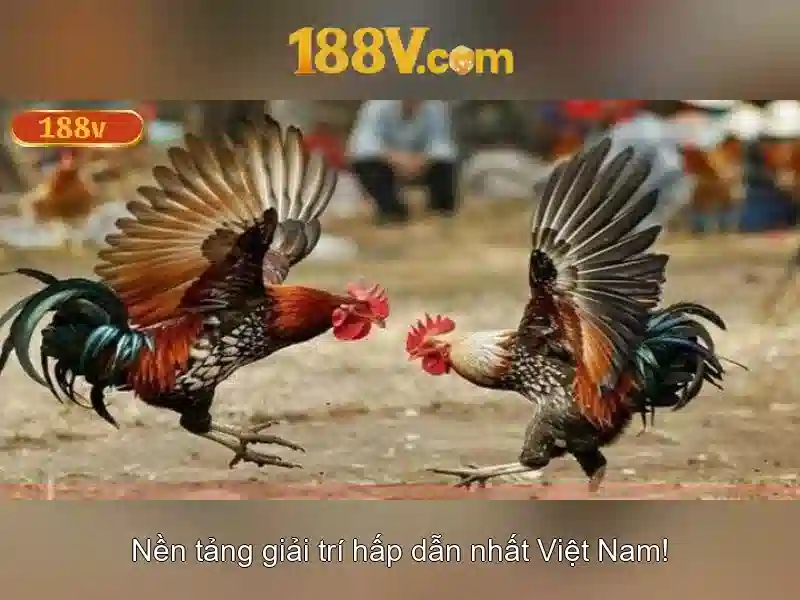 Ưu Đãi 188V VIP