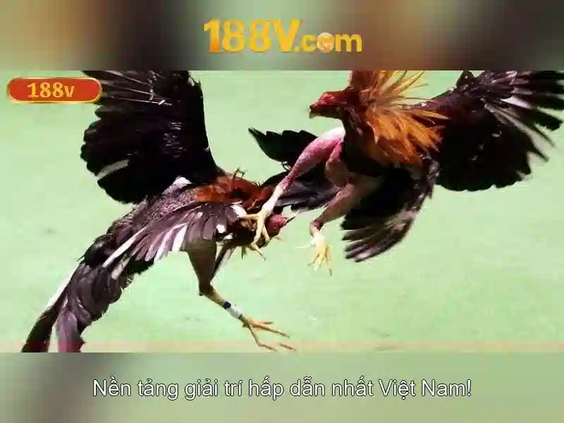 Nền tảng Slot 188v Uy Tín