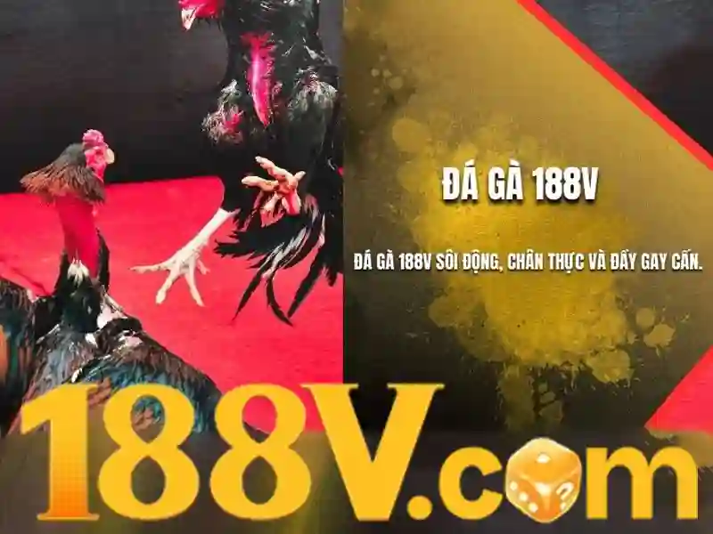 Hướng Dẫn Rút Thưởng Slot 188V Hiệu Quả