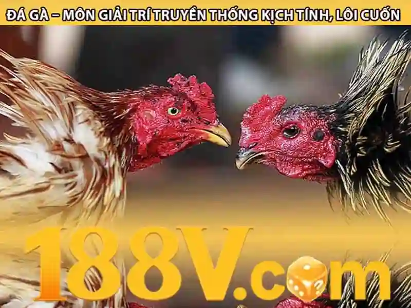 Bí quyết tải 188v
